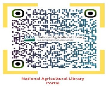 QR 13