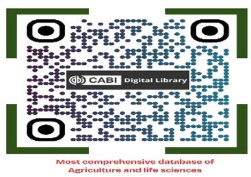 QR 5