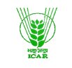 ANGRAU Logo