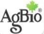 ANGRAU Logo